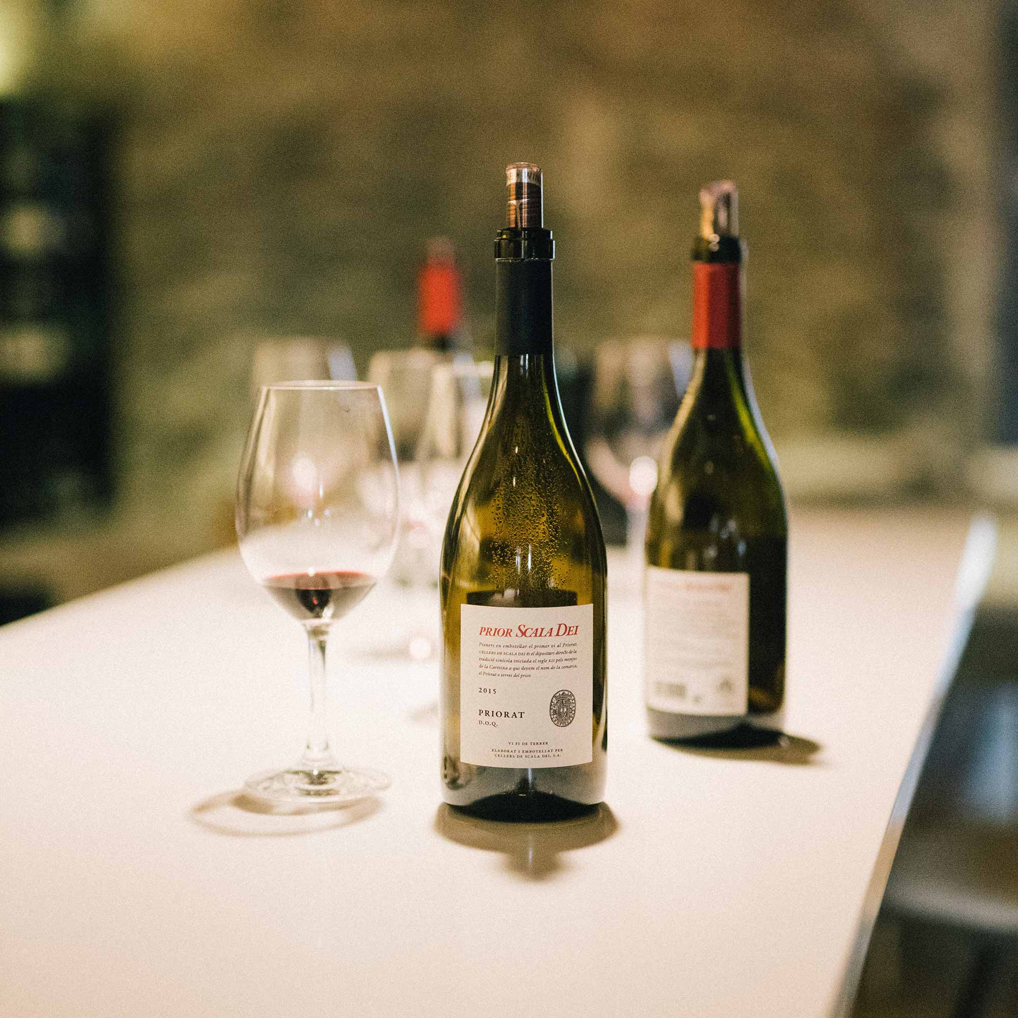 Wine Tasting - Il Cavaliere di Gabbiano 1 Wine Tasting